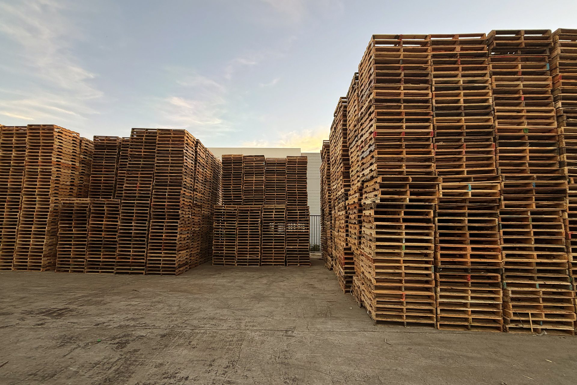 Pallet Nation yard stacked with pallets at golden hour